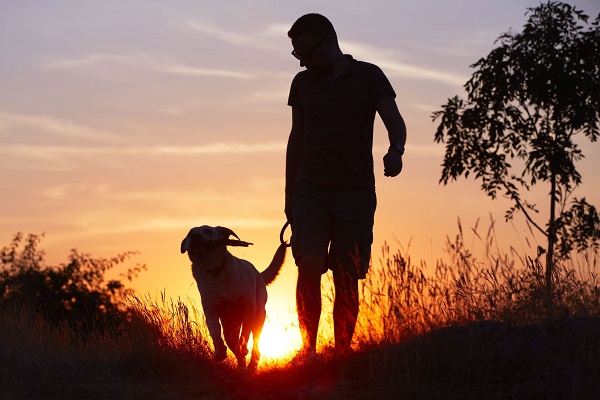 愛犬家も標的に（写真：アフロ）