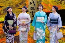 中山美穂と高岡早紀が姉妹演じるNHK『平成細雪』の見所