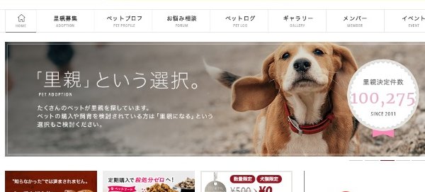 約50万人の会員登録がある里親募集サイト『ペットのおうち』（公式HPより）