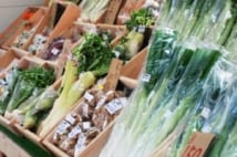 野菜高騰に負けない!栄養バランスと家計を守る野菜購入術5