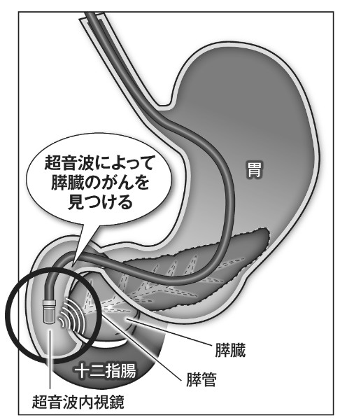常識が変わるかもしれない