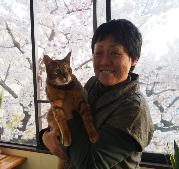5万匹以上の猫をお世話してきた「猫のプロ」南里秀子さん