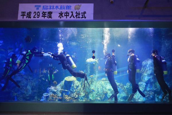 辞令は大型水槽の中で受け取る（鳥羽水族館の入社式）