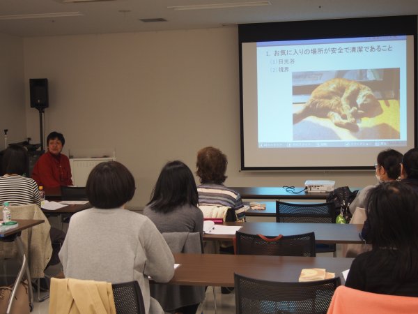 猫の森が主催するセミナー『老猫専科』の授業風景