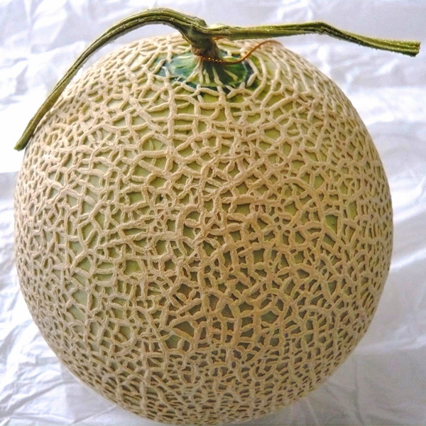 お土産がどっさり！大阪発のツアー