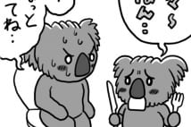 キリン、コアラ、ナマケモノ 排泄物をめぐるトリビア集