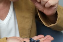 ブルーベリーで視力回復、コラーゲンで関節痛緩和は本当か?