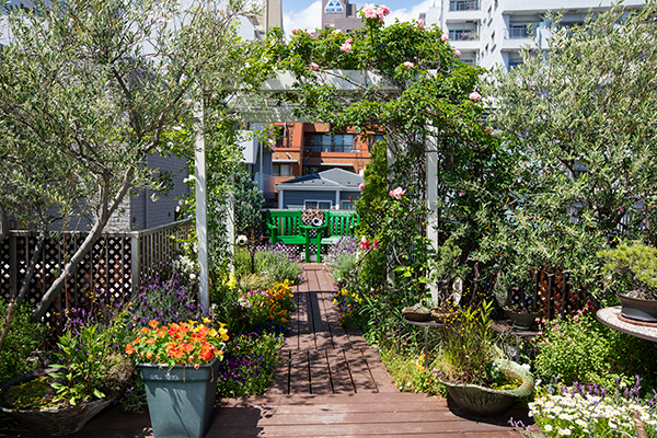 パンジーやラベンダー、ナスタチウムなどが咲く