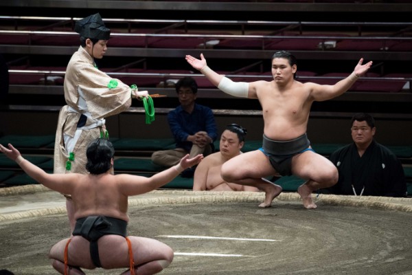 朝青龍の甥、豊昇龍。どことなく似てる気も