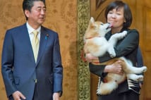 安倍昭恵エロ画像