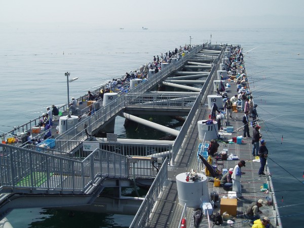 海釣りも可能な「とっとパーク小島」