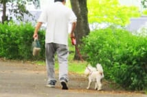 定年後は趣味をお金に 犬の散歩代行や施設での手品ショーなど