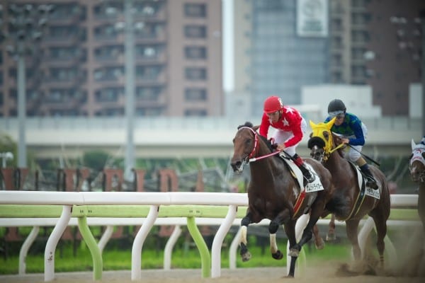 赤地に白の星の騎手服がトレードマーク