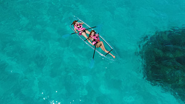 水中が丸見えだから、楽しさ倍増！