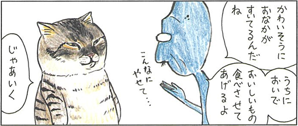 愛猫家に話題の『俺、つしま』の一コマ