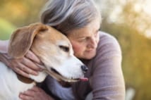 ペットの介護がテーマの漫画『犬を飼う…』に称賛の声止まず