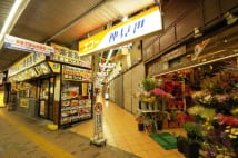 サザエさん通り、エコー仲見世… 東急田園都市線の商店街の魅力