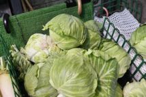 猛暑で野菜が軒並み高騰、食の値上げにどう立ち向かう?