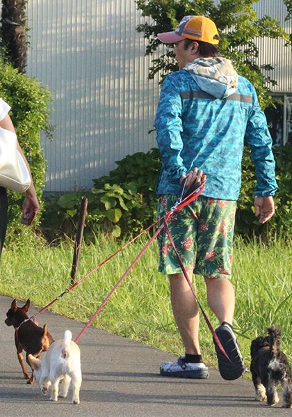 犬を散歩させながら記者の質問に答える