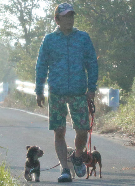 愛犬を散歩させている坂上