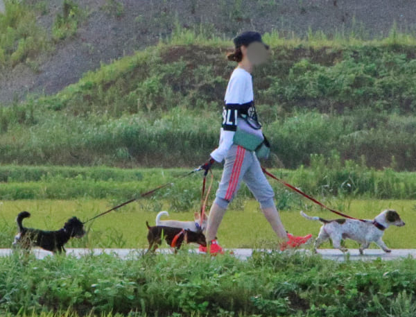 愛犬を散歩させる同居女性