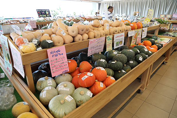 地元農家が育てた旬の野菜が並ぶ産直センターの「やさい館」