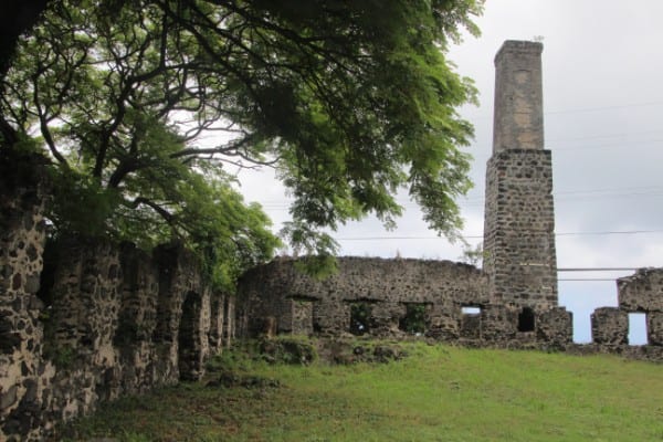 サトウキビ農園の遺構（著者撮影）