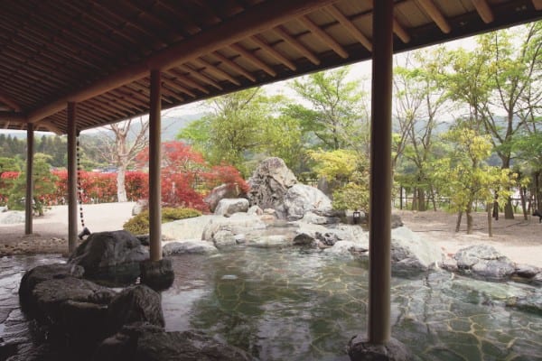 亀嵩（かめだけ）温泉の玉峰山荘