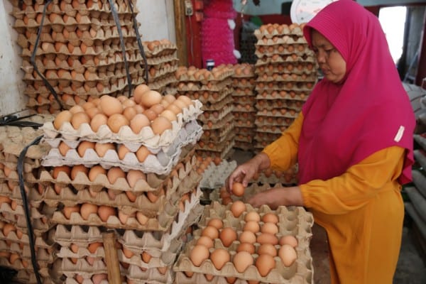 インドでは生で食べられる卵はなかなかないという（EPA=時事通信フォト）
