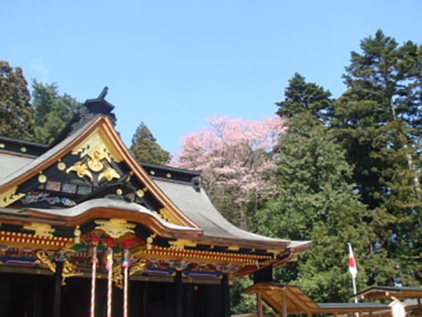 極彩色の権現造「大崎八幡宮」