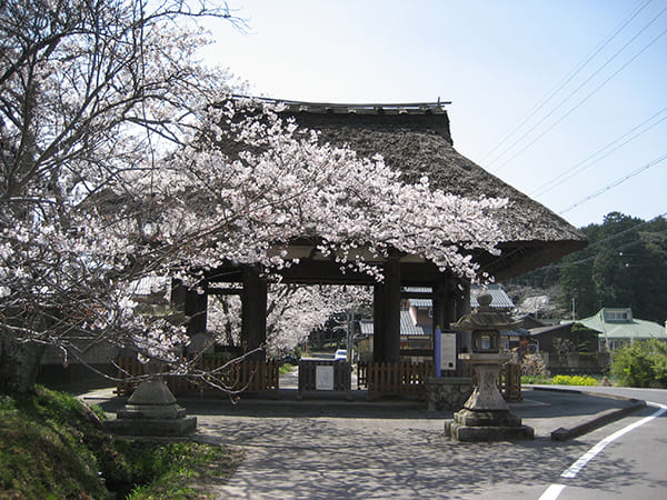 500年以上前に建立された「新宮神社表門」