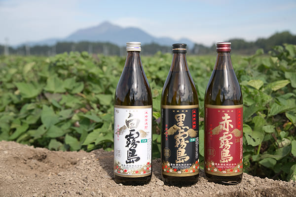 都城市で100年以上の歴史がある『霧島酒造』の本格いも焼酎