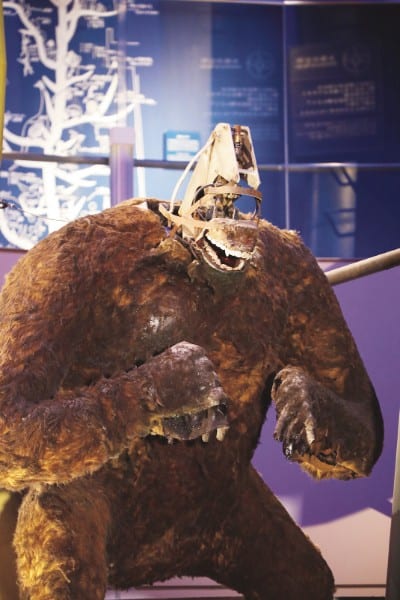 傷んだ状態のまま展示される「ゴリラ」