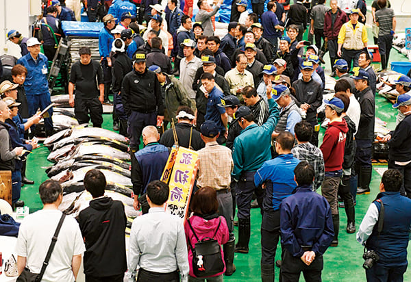 生鮮まぐろのせりに気合充分な仲卸業者たち（写真／アフロ）