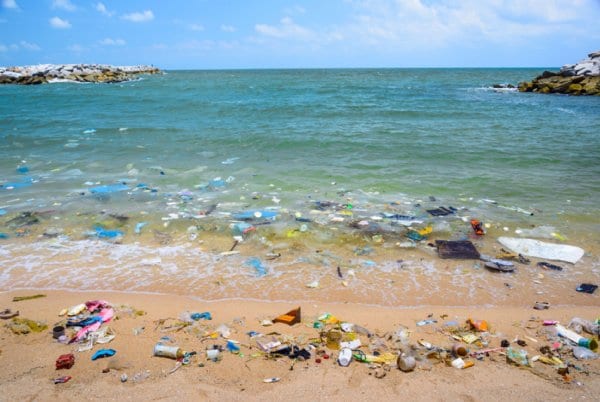世界が危機感　海に漂うプラスチックゴミによる“人体汚染”の可能性（写真／アフロ）