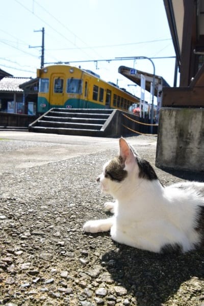 「ねころぶ幸せ」