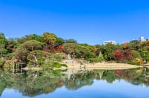 住みやすさの割に低評価? 交通、買い物、散策も充実の「駒込」の魅力