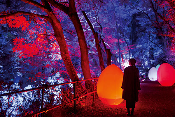 メッツァビレッジ