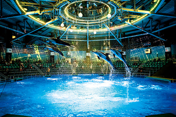 マクセル アクアパーク品川