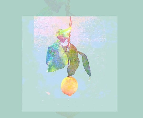 今年、『Lemon』が大ヒットした米津玄師（同曲のCDジャケットより）