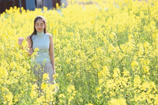 写真集の続編がデジタル写真集に