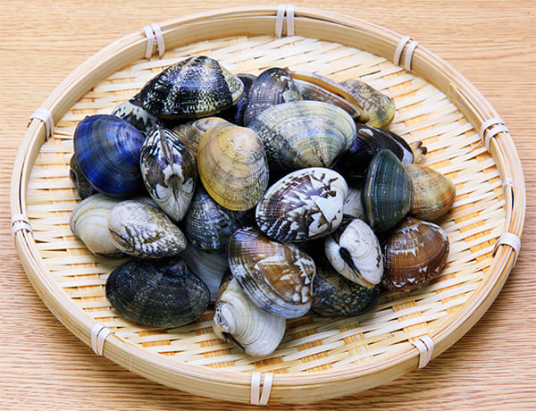 “日本産”に化けている中国産の貝類