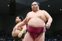 神田川俊郎氏「魚で言うたら今のお相撲さんは養殖魚ですわ」