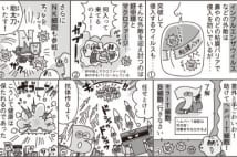 免疫力を高める理想の朝ご飯とは?食事のポイント7つ