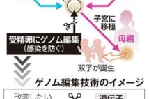 進むゲノム編集、揺れる科学界 生命操作の許容範囲は