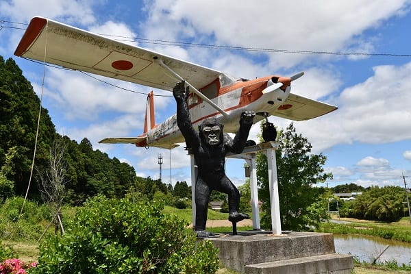飛べないヒコーキ（撮影：太田真三）