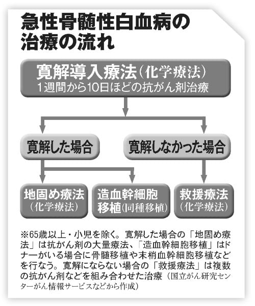 急性骨髄性白血病の治療の流れ