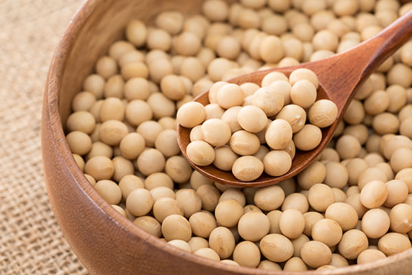 大豆は消化に平均8～10時間かかる食べ物『スロー』