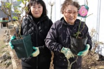 151万円で夢を叶える企画 「母にバラ園をプレゼント」