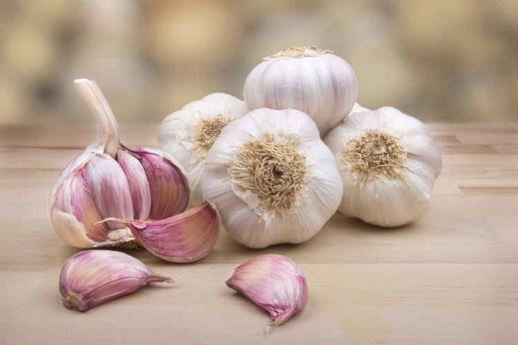 がん予防効果が高い野菜のひとつとされるにんにく（写真／アフロ）